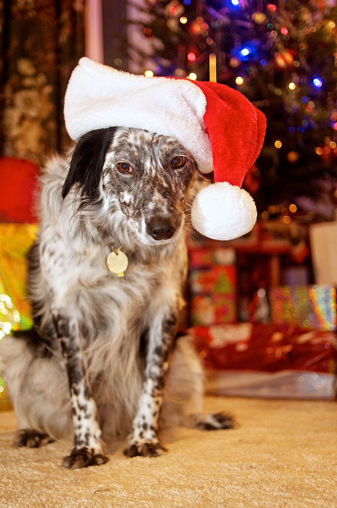 友達にクリスマスをお祝いする Wishing friends a merry christmas